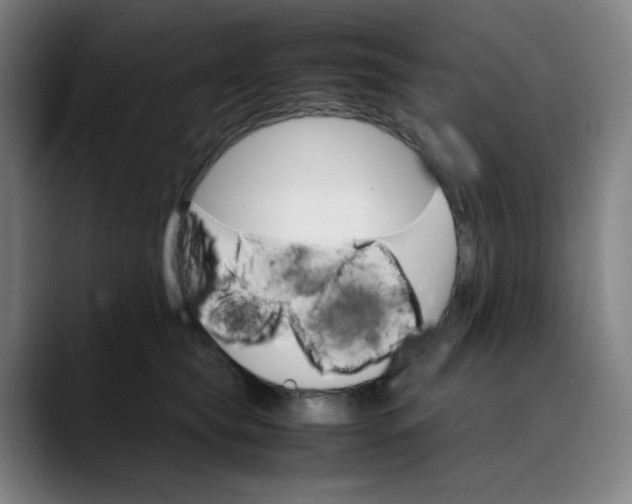 X0000089350565200707131533