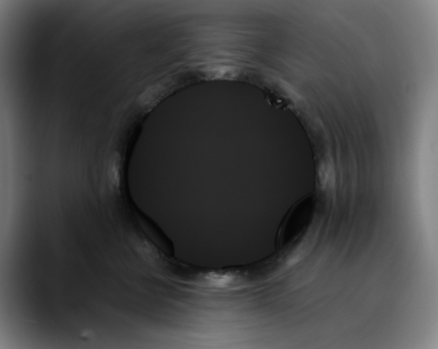 X0000089350570200707131533