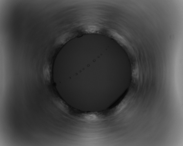 X0000089350572200707131533