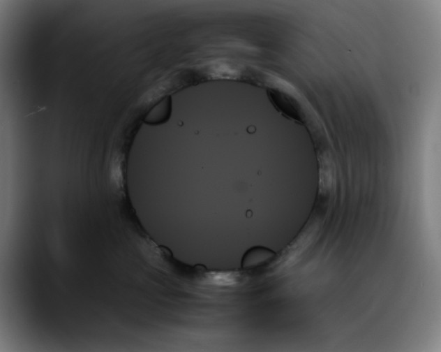 X0000089350573200707131533
