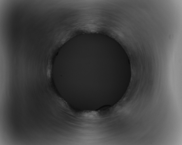 X0000089350576200707131533