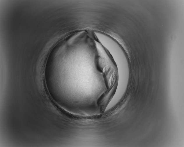X0000089350577200707131533