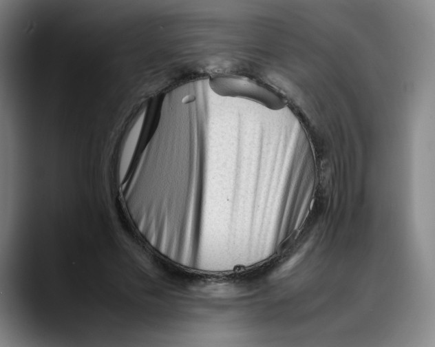 X0000089350589200707131532