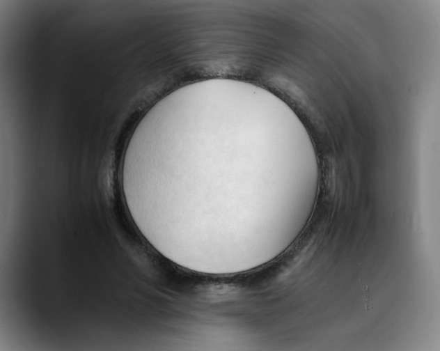 X0000089350590200707131532