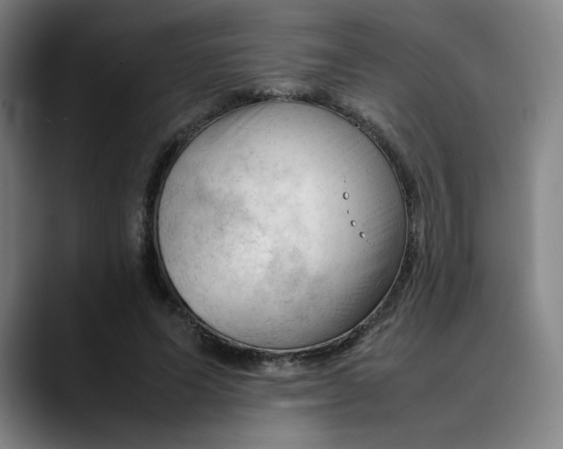 X0000089350591200707131532
