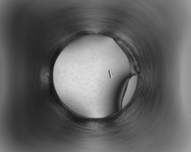 X0000089350596200707131532