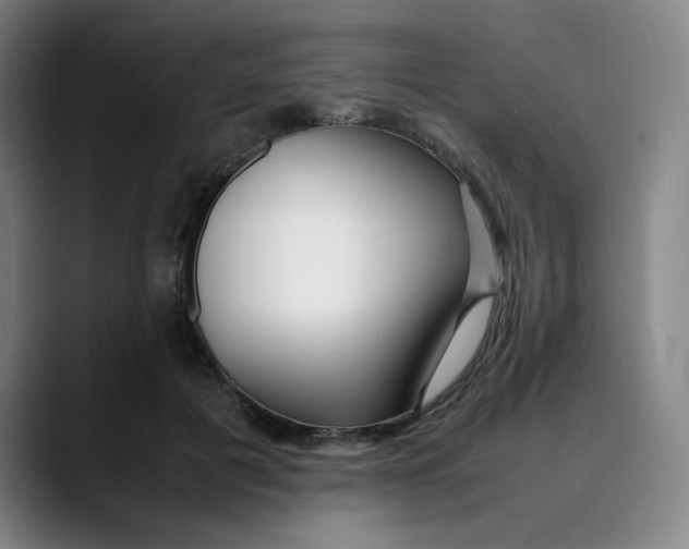 X0000089350601200707131532