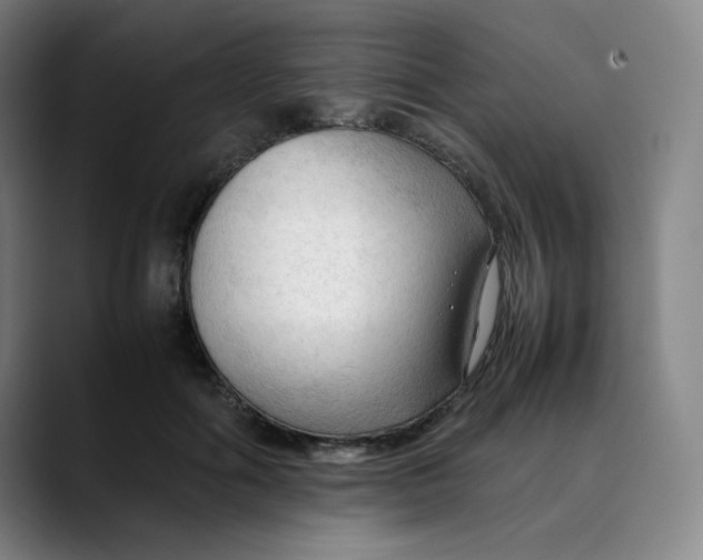 X0000089350602200707131532
