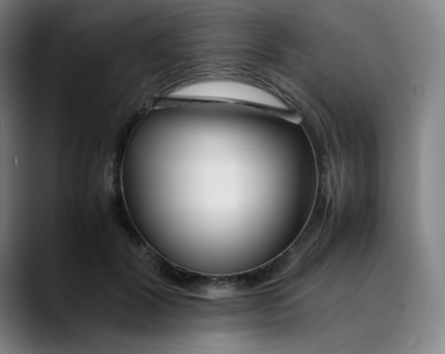 X0000089350604200707131532