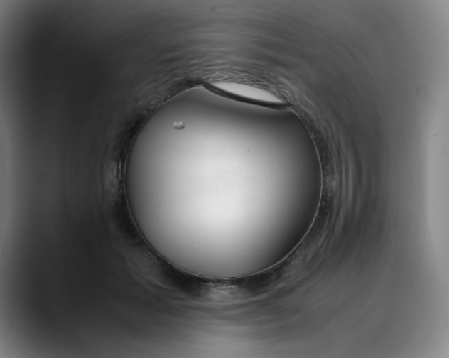 X0000089350605200707131532