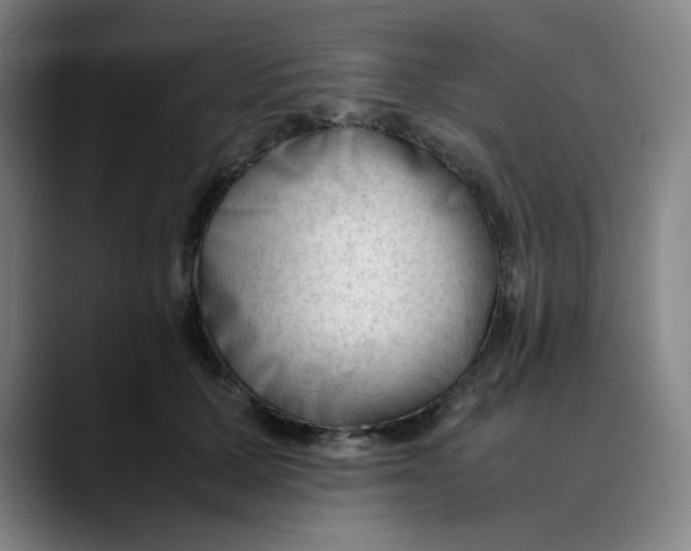 X0000089350607200707131532