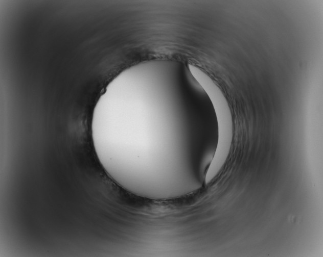 X0000089350608200707131532