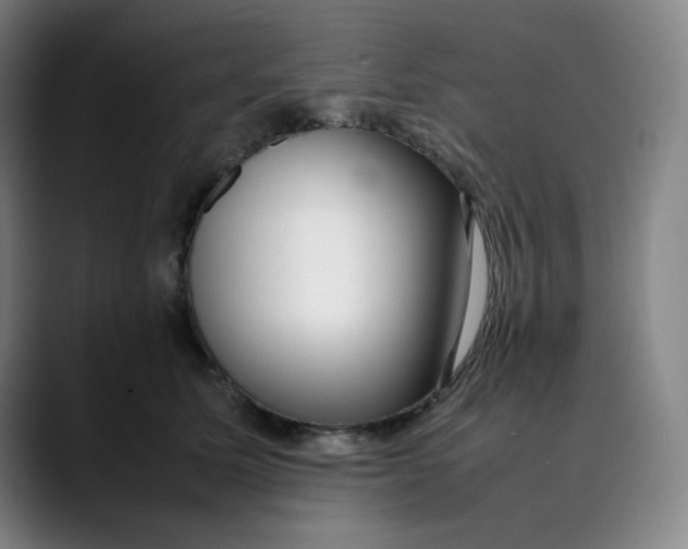 X0000089350611200707131532