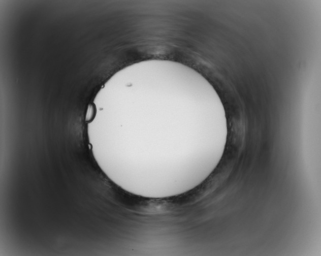 X0000089350612200707131532