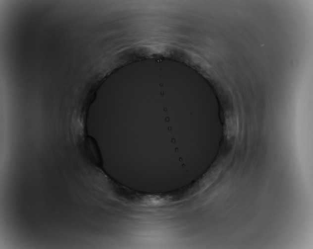 X0000089350613200707131532