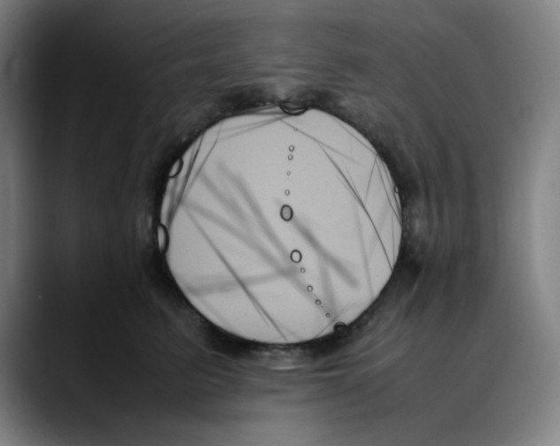 X0000089350615200707131532