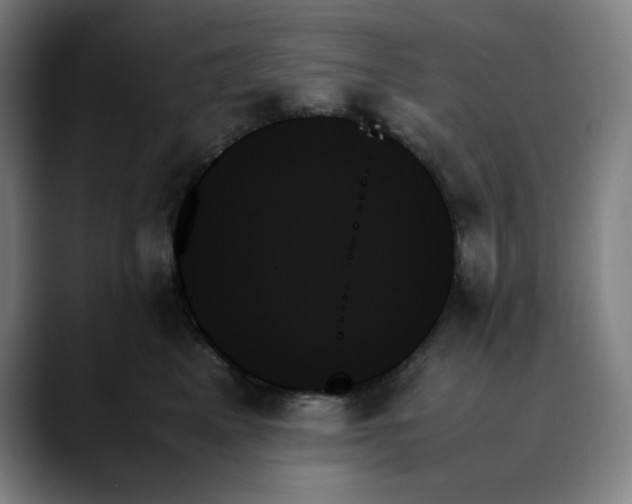 X0000089350617200707131532