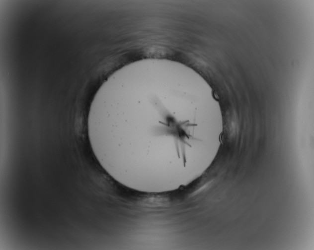 X0000089350619200707131532