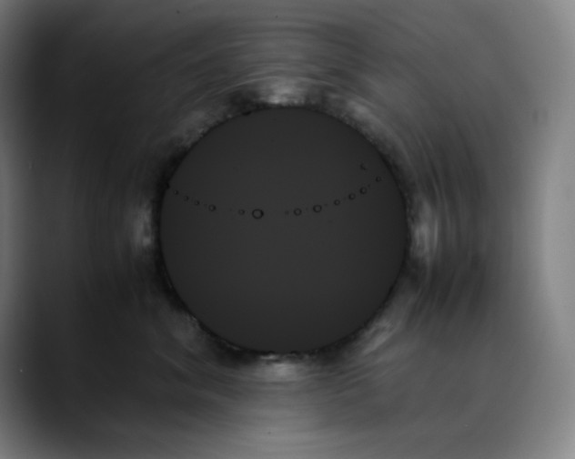 X0000089350620200707131532