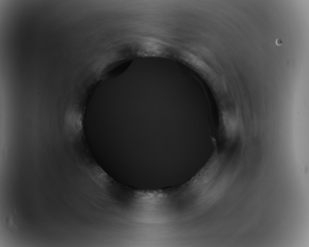 X0000089350621200707131532