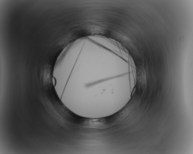 X0000089350622200707131532
