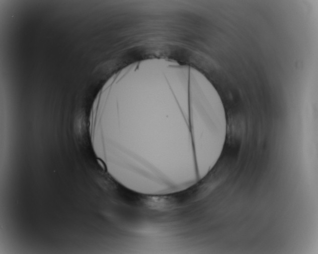 X0000089350623200707131532