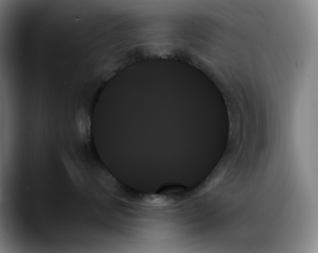 X0000089350624200707131532