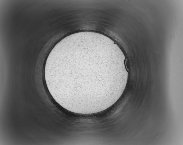 X0000089350625200707131531