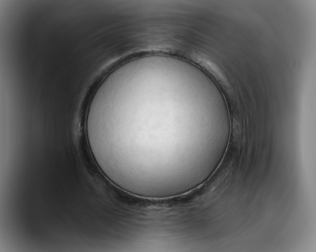 X0000089350628200707131531
