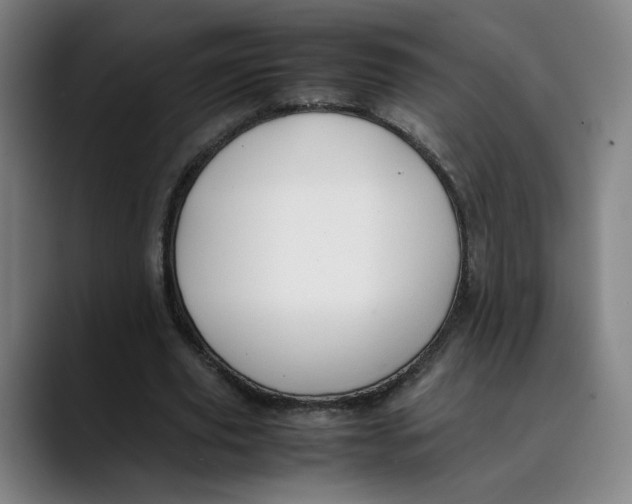 X0000089350629200707131531