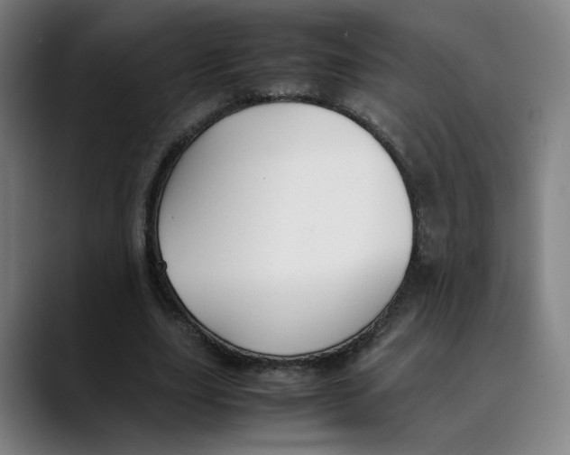 X0000089350631200707131531