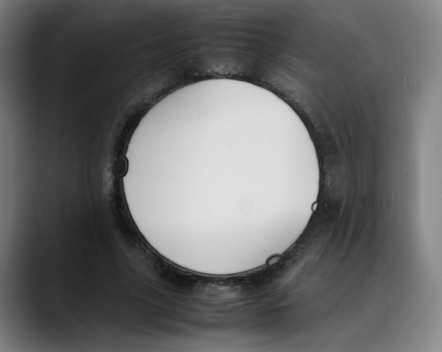 X0000089350635200707131532