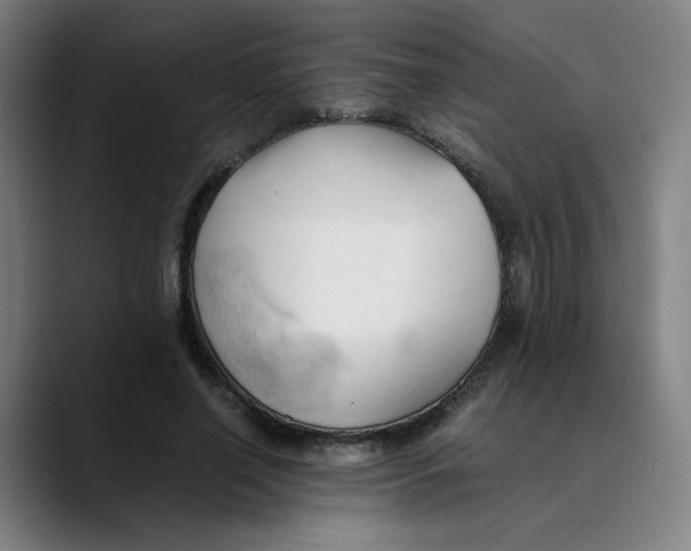 X0000089350638200707131532