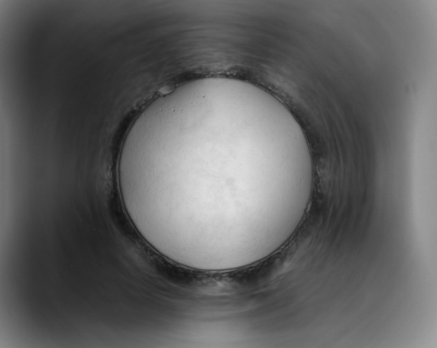 X0000089350642200707131532
