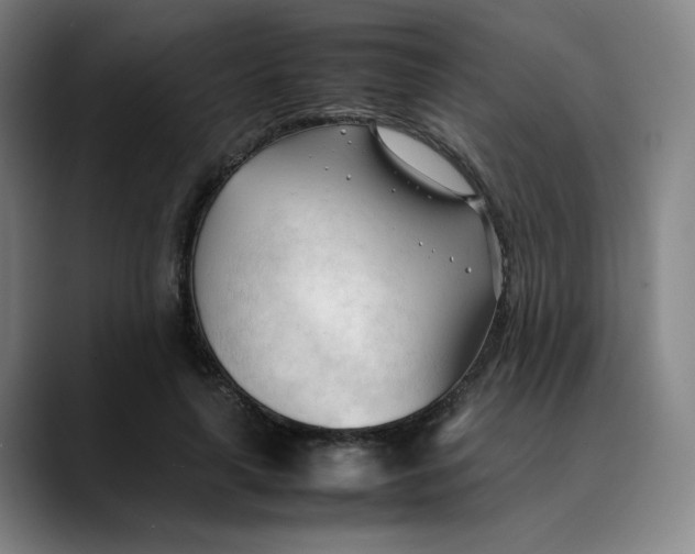 X0000089350643200707131532