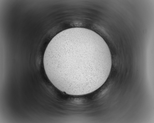 X0000089350645200707131532
