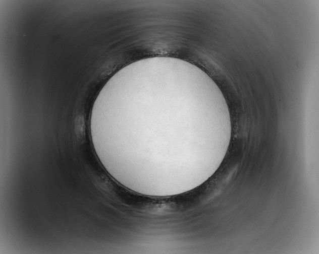 X0000089350646200707131532