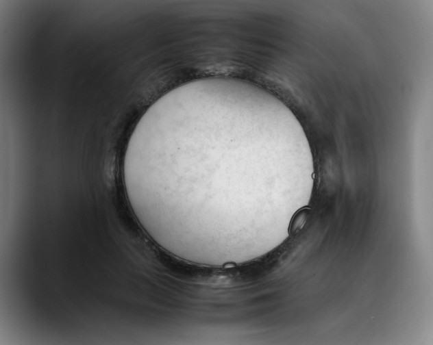 X0000089350647200707131532