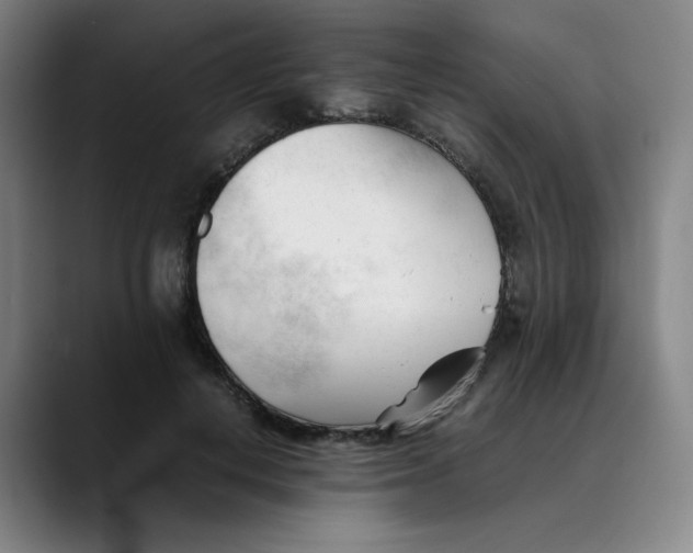 X0000089350648200707131532