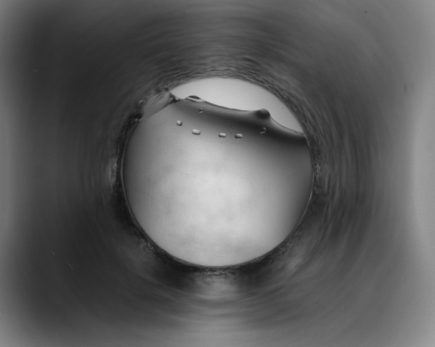X0000089350652200707131532