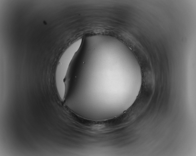 X0000089350653200707131532