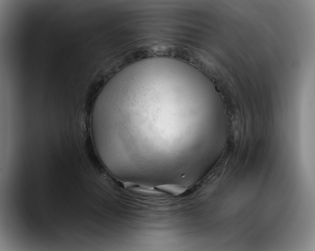 X0000089350654200707131532