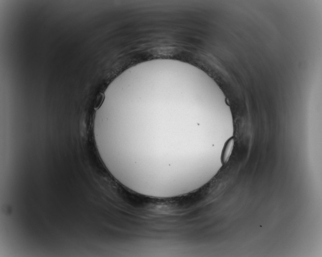 X0000089350655200707131532