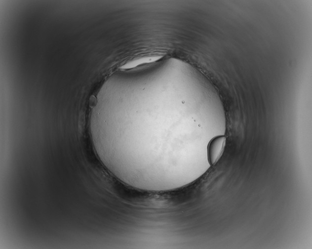 X0000089350656200707131532
