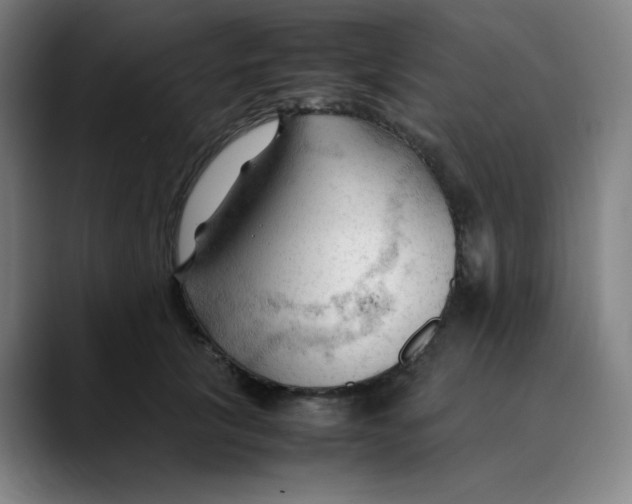 X0000089350657200707131532