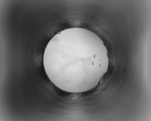 X0000089350660200707131532