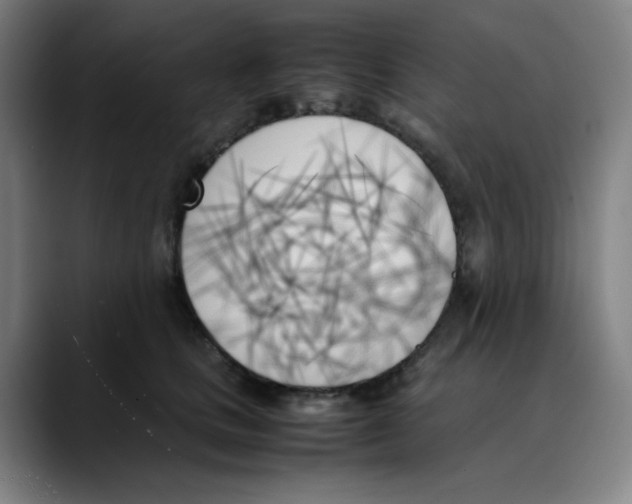 X0000089350661200707131532