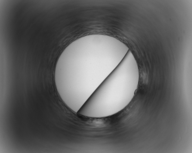 X0000089350665200707131532