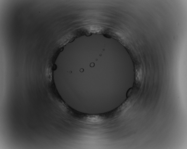 X0000089350666200707131532