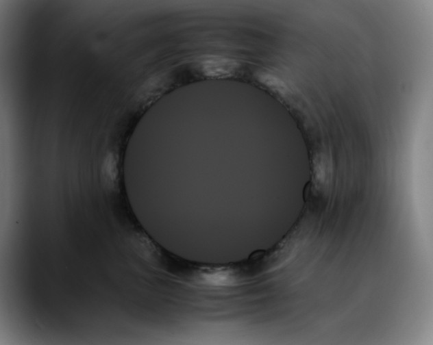 X0000089350667200707131532